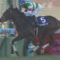 【競馬】トライアルが終わったが、ここまでワクワクしないクラシック過去にあったか？
