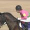 【競馬・セントウルS】福永「さっぱりでした」２番人気のＧ１馬ミスターメロディは８着　