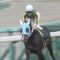 【競馬】ランスオブプラーナは引き続き松山騎手で皐月賞へ