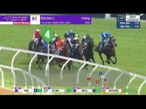 【海外競馬】[動画] 怪物ウインクス32連勝達成