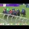 【海外競馬】[動画] 怪物ウインクス32連勝達成