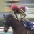 【競馬】アルアイン　オールカマー2着→天皇賞秋4着→マイルCS3着→金鯱賞5着→大阪杯1着→宝塚記念4着