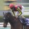 【競馬/大阪杯】ディープ産駒強すぎてカナロア産駒が勝てない