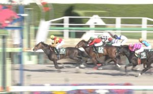 【競馬】サミー里見氏「北斗の拳の黒王みたいな馬だねサトノティターンは」