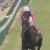 【競馬】日経賞初勝利の武豊騎手、JRA・GII全制覇まで残すは4レース