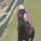 【競馬】武豊って逃げ馬でしか勝てない印象なんだが