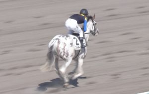 【競馬】土曜中山5Rはアルママかパロネラどちらかが飛ぶ