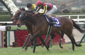 【競馬・天皇賞秋】アルアイン全成績　5-3-2-2-3-1-1　8着以下なし←これ