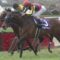 【競馬】宝塚記念の出走予定馬が豪華すぎる件wwwwww