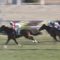 【競馬/函館SS】ダノンスマッシュ安田隆行調教師激怒ｗｗｗｗｗ