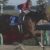 【競馬】ルヴァンスレーヴ帝王賞回避ってマジ？