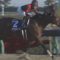 【競馬】ルヴァンスレーヴ帝王賞回避ってマジ？
