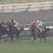 【競馬/弥生賞】アンカツ、ニシノデイジー勝浦の騎乗を痛烈に批判！
