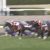 【競馬/桜花賞】ダノンファンタジーの最終追い切りがやばい