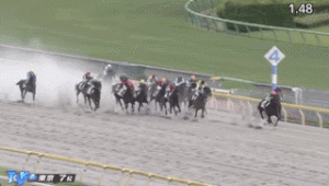 【競馬/マーチS】[動画] サトノティターンのパトロール映像wwwwww