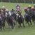 【競馬/大阪杯】ブラストワンピース池添「結果論だけど内に潜り込めばよかった」