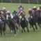 【競馬】JRA、いよいよウマ娘とコラボせざるを得なくなる