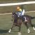 【競馬/日本ダービー】ジャスタウェイ産駒を本命にする奴www