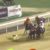 【競馬】[動画] 中国競馬の最後の直線楽しすぎてワロタｗｗｗｗｗｗｗｗｗｗｗｗｗｗｗｗｗｗｗｗｗｗｗｗｗｗｗｗｗｗ