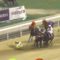 【競馬】[動画] 中国競馬の最後の直線楽しすぎてワロタｗｗｗｗｗｗｗｗｗｗｗｗｗｗｗｗｗｗｗｗｗｗｗｗｗｗｗｗｗｗ