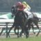 【競馬】ルメールのメッキ剥がれてきた件