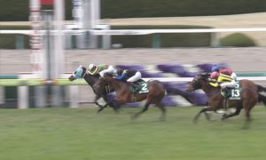 【競馬】毎日杯Vのランスオブプラーナ、次走は皐月賞かNHKマイルC