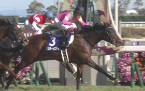 【競馬】高松宮記念が荒れた理由は
