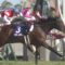 【競馬】高松宮記念が荒れた理由は