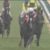 【競馬】アーモンドアイがダノンプレミアムに負けたら競馬板が最高に盛り上がるな