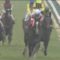 【競馬】アーモンドアイがダノンプレミアムに負けたら競馬板が最高に盛り上がるな