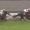 【競馬/マイラーズC】ダノンプレミアム単勝1.3倍