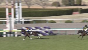 【競馬・菊花賞】ヴェロックス！！川田の秋が始まる！！