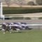 【競馬】悲報・・ヴェロックス大阪杯回避wwwwwwww