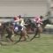 【競馬】高松宮記念 12.0 - 10.1 - 11.1 - 11.4 - 11.2 - 11.5　←スプリントとしては言うほどハイでもない件