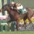 【競馬・北九州記念】モズスーパーフレア +26