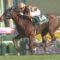 【競馬】武豊騎手、モズスーパーフレアに乗らずファンタジストでスプリント路線へ