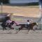 【競馬】今年のジャパンダートダービー勝ち馬を教えてください