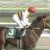 【競馬】カツウララ現在１０８連敗中、今週にもハルウララの１１３連敗越えだ！