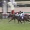 【競馬/大阪杯】2着キセキ川田「何とかキセキとG1を獲りたかったのですが、申し訳ありません」