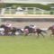 【競馬】エタリオウ師匠わろたあああああああああああああああああああああ