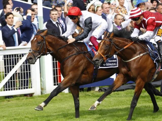 【競馬】豪ウィンクスの最初の配合相手がなかなか決まらないらしい…ディープインパクトも候補に
