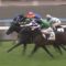 【競馬】新人3人が30勝以上は32年前の武、蛯名、塩村以来だって