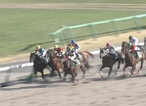 【競馬/マーチS】テーオーエナジー田辺裕信ｗｗｗｗｗｗｗｗｗｗｗｗｗｗｗ
