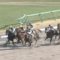 【競馬/マーチS】テーオーエナジー田辺裕信ｗｗｗｗｗｗｗｗｗｗｗｗｗｗｗ