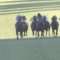 【競馬/皐月賞】サートゥルナーリアが春二冠とって凱旋門賞に行くことになったら？