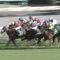 【競馬】ルメール、初っ端から単1.3倍をやらかす