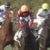 【競馬】武豊さんってこの馬質でリーディング二位って凄くない？