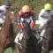 【競馬】東西移動制限延長について武豊「土日同じ競馬場で乗らなくてはいけないのは正直不便を感じています」