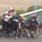 【競馬】阪神最終レース、和田と太宰が直線で落馬