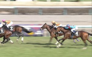 【競馬】天帝ルーカス弱すぎワロタｗｗｗｗｗｗｗｗｗ